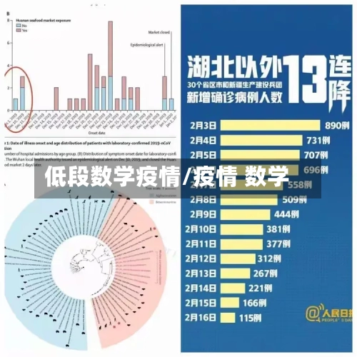低段数学疫情/疫情 数学