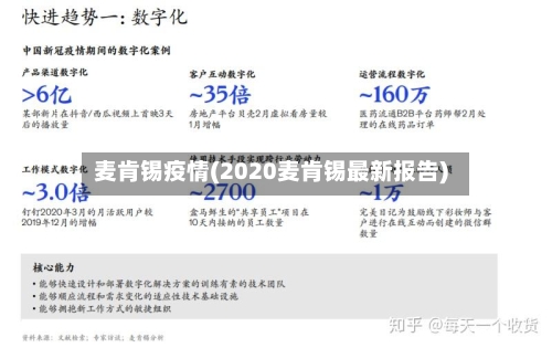 麦肯锡疫情(2020麦肯锡最新报告)-第3张图片
