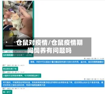 仓鼠对疫情/仓鼠疫情期间饲养有问题吗