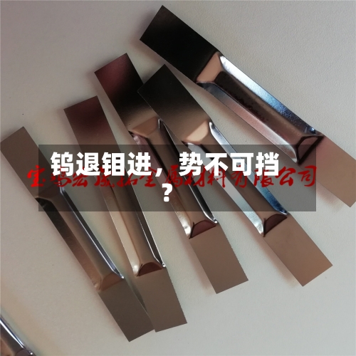 钨退钼进，势不可挡？