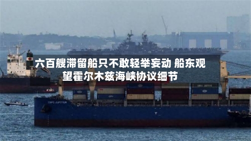 六百艘滞留船只不敢轻举妄动 船东观望霍尔木兹海峡协议细节-第3张图片
