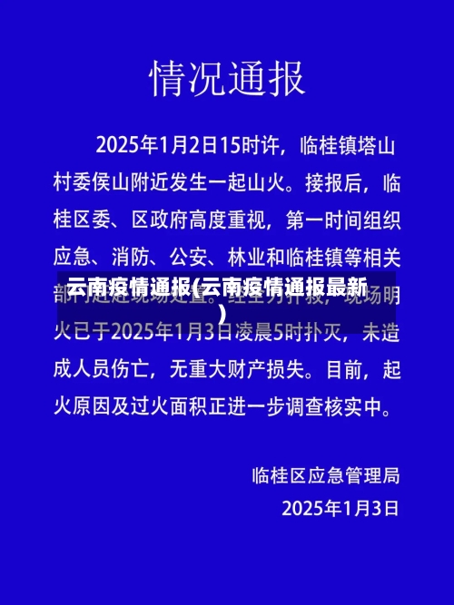 云南疫情通报(云南疫情通报最新)-第2张图片