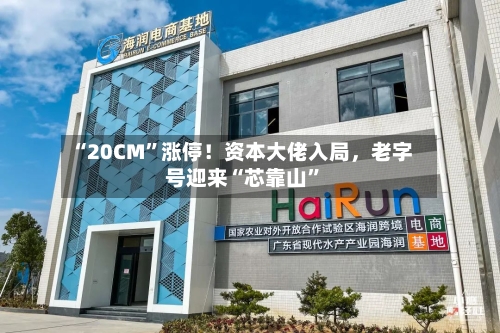 “20CM”涨停！资本大佬入局，老字号迎来“芯靠山”