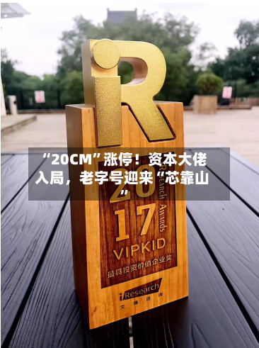 “20CM”涨停！资本大佬入局，老字号迎来“芯靠山	”-第2张图片