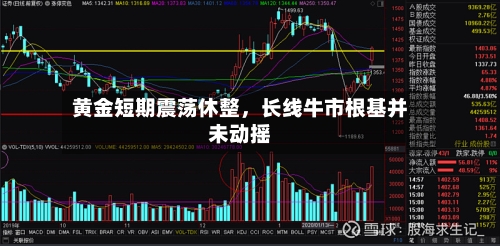 黄金短期震荡休整，长线牛市根基并未动摇-第1张图片