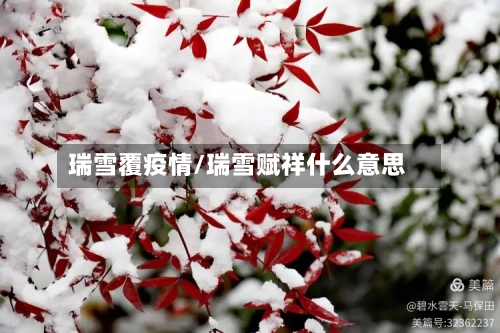 瑞雪覆疫情/瑞雪赋祥什么意思-第3张图片