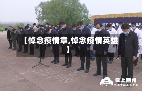 【悼念疫情章,悼念疫情英雄】-第2张图片
