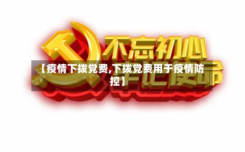 【疫情下拨党费,下拨党费用于疫情防控】-第2张图片