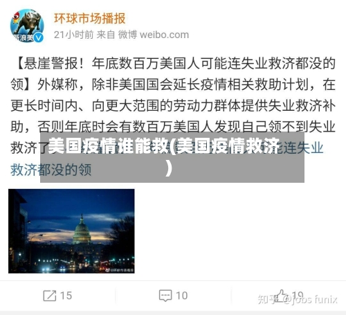 美国疫情谁能救(美国疫情救济)