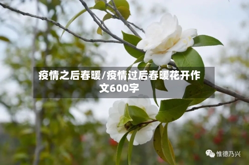疫情之后春暖/疫情过后春暖花开作文600字-第3张图片