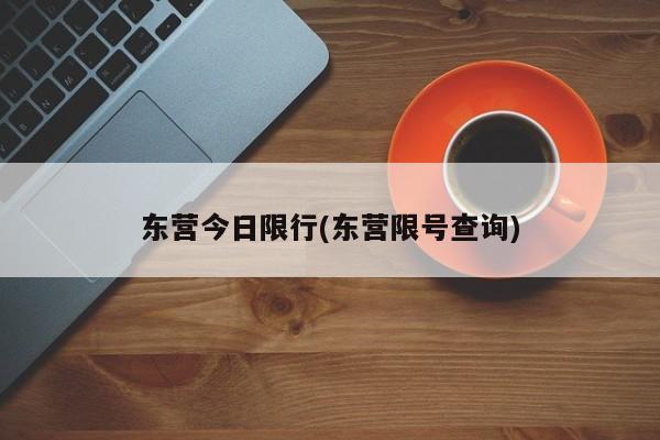 东营今日限行(东营限号查询)